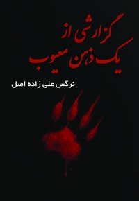 گزارشی از یک ذهن معیوب
